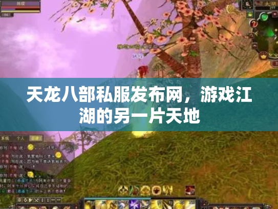 天龙八部私服发布网，游戏江湖的另一片天地