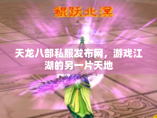 天龙八部私服发布网，游戏江湖的另一片天地