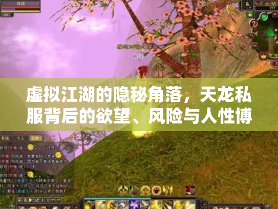 虚拟江湖的隐秘角落，天龙私服背后的欲望、风险与人性博弈