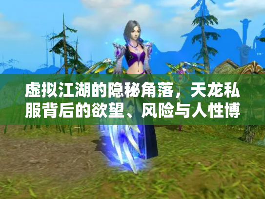 虚拟江湖的隐秘角落，天龙私服背后的欲望、风险与人性博弈