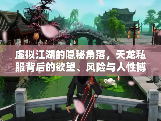 虚拟江湖的隐秘角落，天龙私服背后的欲望、风险与人性博弈