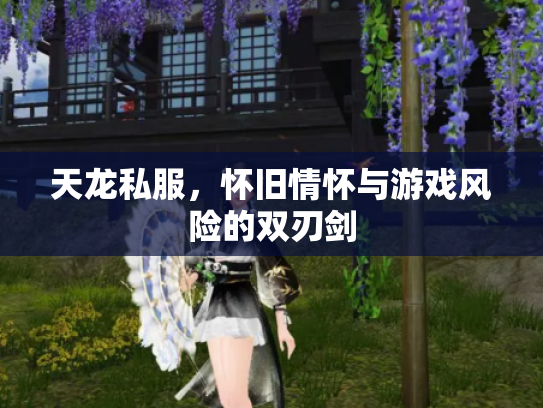 天龙私服，怀旧情怀与游戏风险的双刃剑