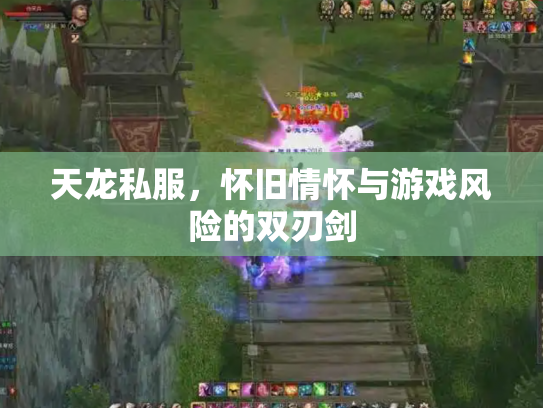 天龙私服，怀旧情怀与游戏风险的双刃剑