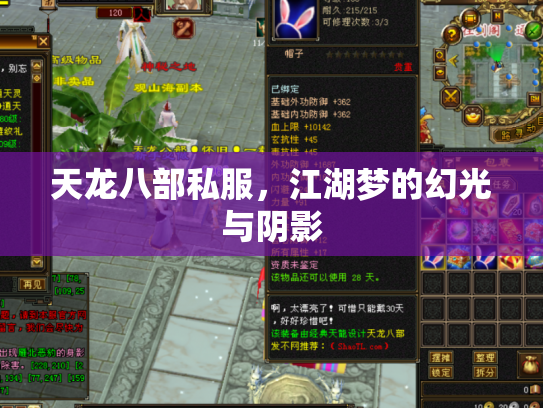 天龙八部私服,江湖梦的幻光与阴影 天龙八部私服,江湖梦的幻光与阴影