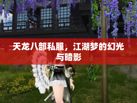 天龙八部私服，江湖梦的幻光与暗影