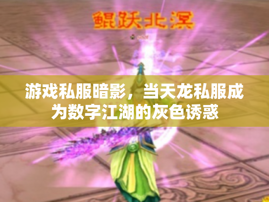 游戏私服暗影，当天龙私服成为数字江湖的灰色诱惑