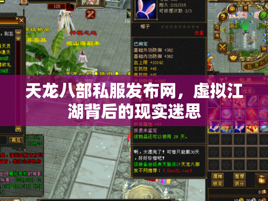 天龙八部私服发布网，虚拟江湖背后的现实迷思