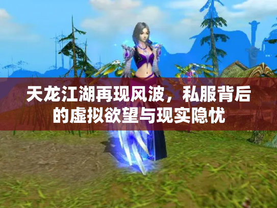 天龙江湖再现风波，私服背后的虚拟欲望与现实隐忧