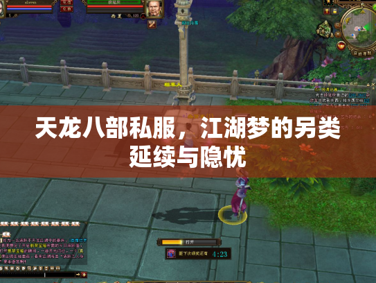 天龙八部私服，江湖梦的另类延续与隐忧