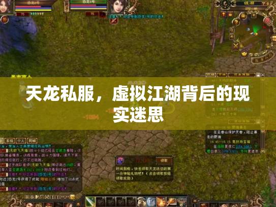 天龙私服，虚拟江湖背后的现实迷思