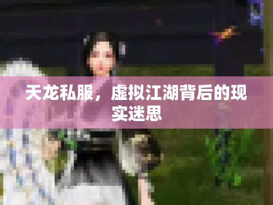 天龙私服,虚拟江湖背后的现实迷思 天龙私服,虚拟江湖背后的现实迷思