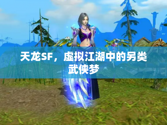 天龙SF，虚拟江湖中的另类武侠梦