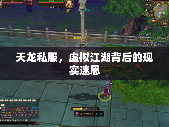 天龙私服，虚拟江湖背后的现实迷思