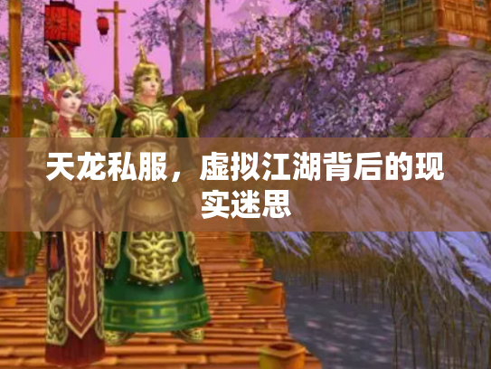 天龙私服，虚拟江湖背后的现实迷思