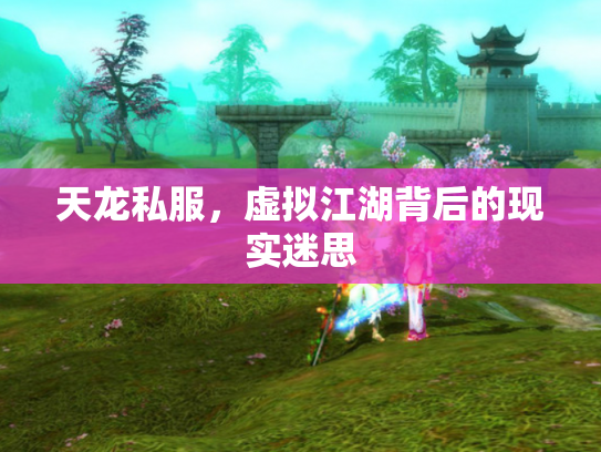 天龙私服，虚拟江湖背后的现实迷思