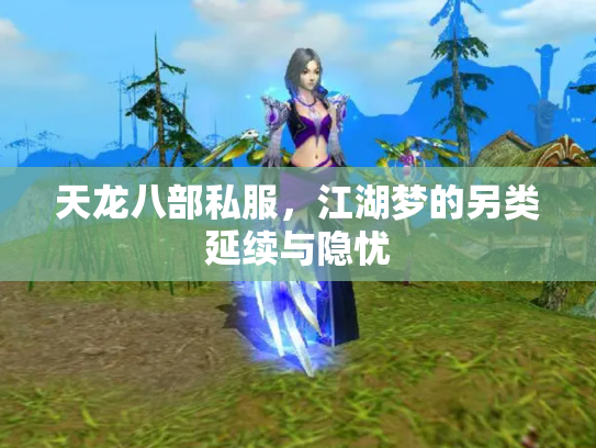 天龙八部私服，江湖梦的另类延续与隐忧