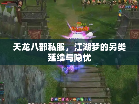 天龙八部私服，江湖梦的另类延续与隐忧
