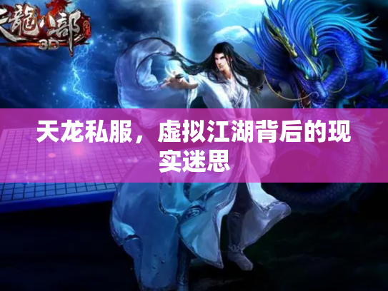 天龙私服，虚拟江湖背后的现实迷思