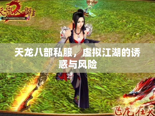 天龙八部私服，虚拟江湖的诱惑与风险