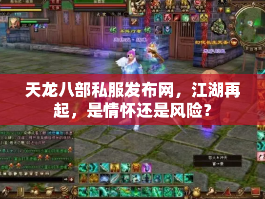 天龙八部私服发布网，江湖再起，是情怀还是风险？