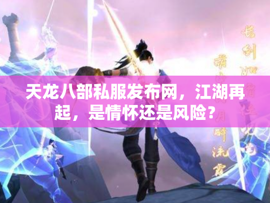 天龙八部私服发布网，江湖再起，是情怀还是风险？