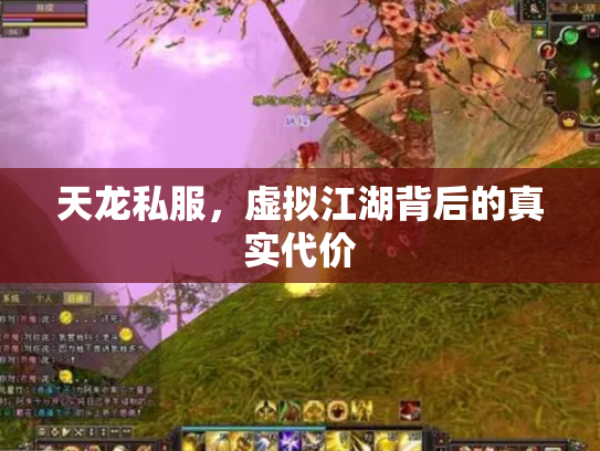 天龙私服，虚拟江湖背后的真实代价