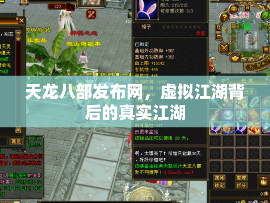 天龙八部发布网，虚拟江湖背后的真实江湖