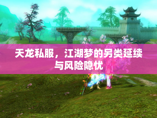 天龙私服，江湖梦的另类延续与风险隐忧