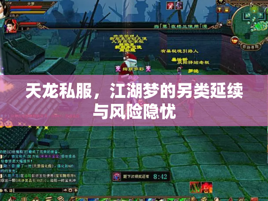 天龙私服，江湖梦的另类延续与风险隐忧