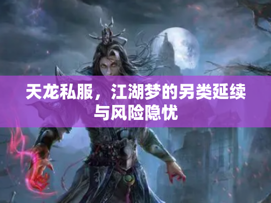 天龙私服,江湖梦的另类延续与风险隐忧 天龙私服,江湖梦的另类延续与风险隐忧
