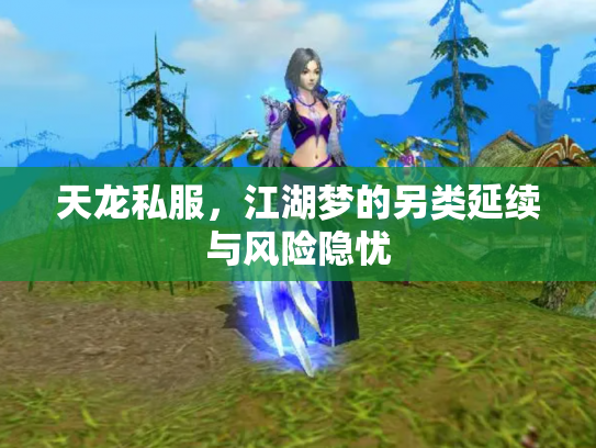 天龙私服，江湖梦的另类延续与风险隐忧