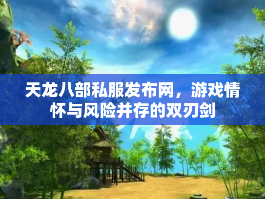天龙八部私服发布网，游戏情怀与风险并存的双刃剑