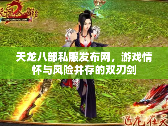 天龙八部私服发布网，游戏情怀与风险并存的双刃剑