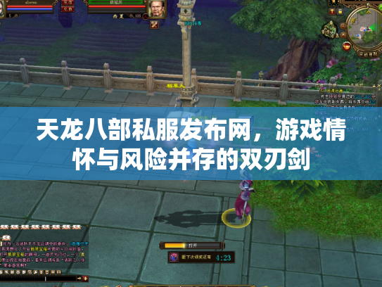 天龙八部私服发布网，游戏情怀与风险并存的双刃剑