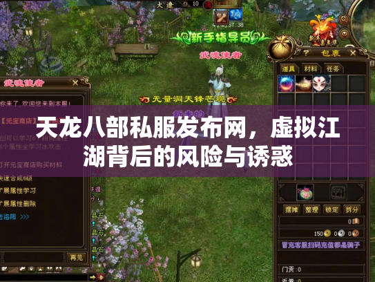 天龙八部私服发布网，虚拟江湖背后的风险与诱惑