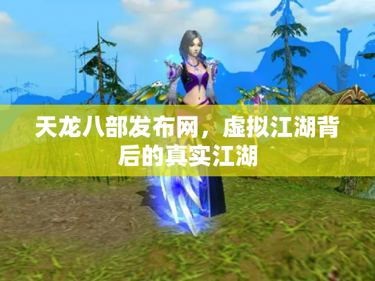 天龙八部发布网，虚拟江湖背后的真实江湖