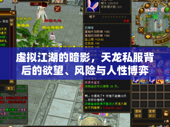 虚拟江湖的暗影，天龙私服背后的欲望、风险与人性博弈