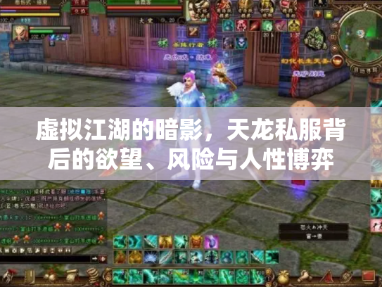 虚拟江湖的暗影，天龙私服背后的欲望、风险与人性博弈