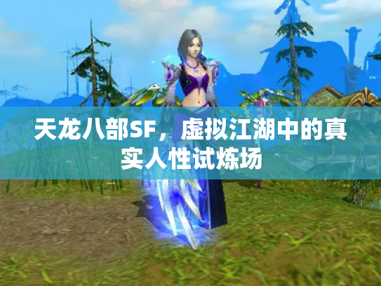天龙八部SF，虚拟江湖中的真实人性试炼场