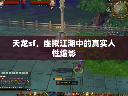 天龙sf，虚拟江湖中的真实人性缩影
