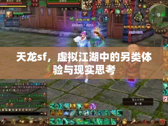 天龙sf，虚拟江湖中的另类体验与现实思考
