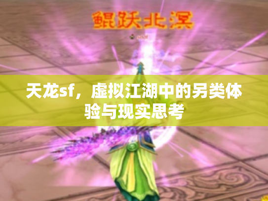 天龙sf，虚拟江湖中的另类体验与现实思考