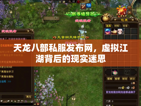 天龙八部私服发布网，虚拟江湖背后的现实迷思