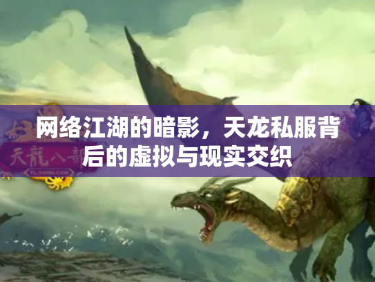 网络江湖的暗影，天龙私服背后的虚拟与现实交织