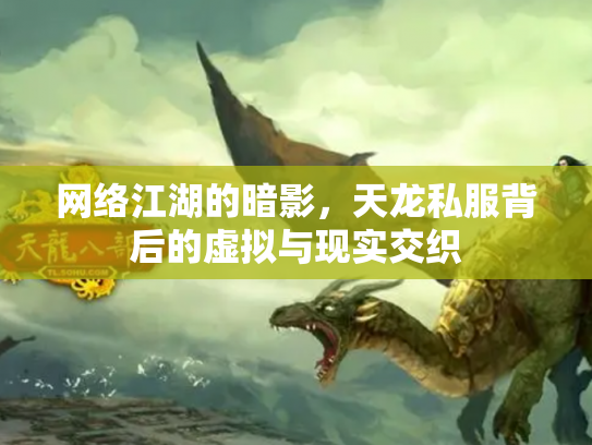 网络江湖的暗影，天龙私服背后的虚拟与现实交织