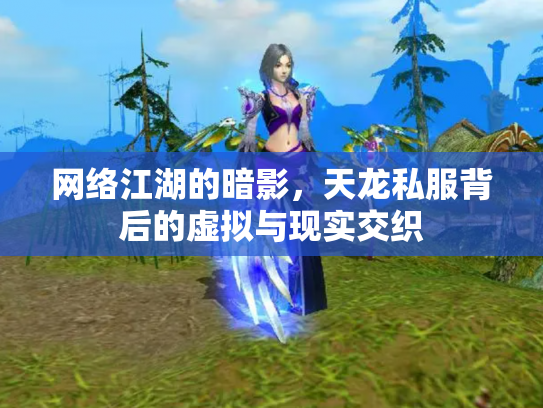 网络江湖的暗影，天龙私服背后的虚拟与现实交织