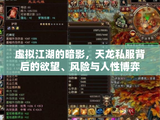 虚拟江湖的暗影，天龙私服背后的欲望、风险与人性博弈