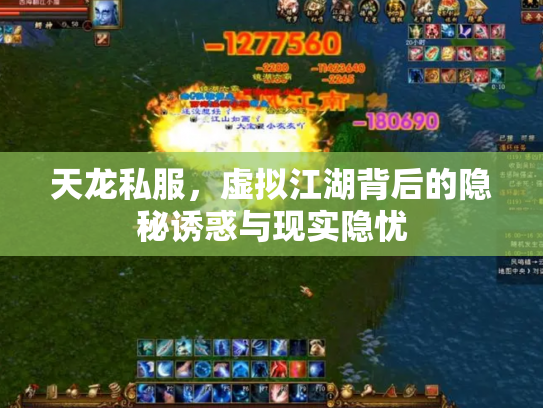 天龙私服，虚拟江湖背后的隐秘诱惑与现实隐忧