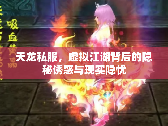 天龙私服，虚拟江湖背后的隐秘诱惑与现实隐忧