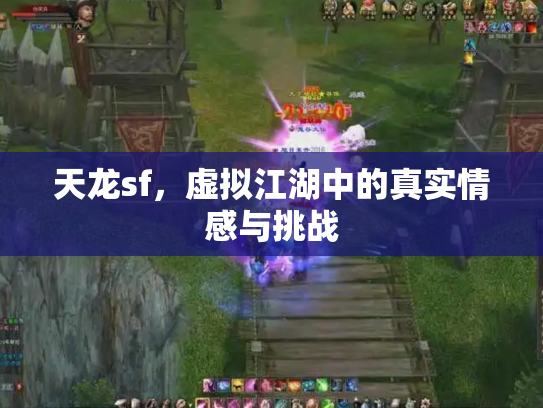 天龙sf，虚拟江湖中的真实情感与挑战